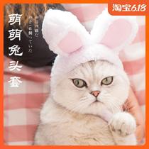 Sky cat rabbit ear cat headgear puppet headgear pet accessories kitten supplies cute cross-over cat hat