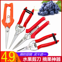 Fruit tree scissors tweaked shears flower and tree pruning Orange grape picking pruning shears gardening scissors tools