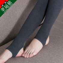 Threaded Bottom Pants Woman Thin Outer Wear Spring Autumn High Waist Cotton Conjoined Pants Socks Large Code Elastic Plus Suede Thickened Stomatpants