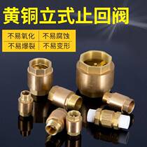 Brass automatic exhaust valve vertical check valve check valve cut-off valve filter heating pipe 4 minutes 6 minutes 1 inch