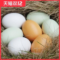 Fake egg solid simulation egg lead Fake Egg toy solid wood hen laying egg props lacquer painting material eggshell