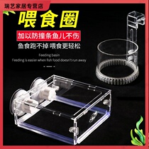 Duckweed fixed ring fish fish tank feeding ring large floating large aquarium feeding ring transparent fish feeder New