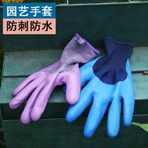 Gardening gloves stab-proof waterproof pull-out gloves wear-resistant non-slip anti-binding multi-functional floral protection thick gloves