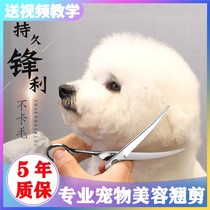 Pet scissors beauty scissors dog Teddy dog Hairy tools set straight scissors teeth scissors short and thin