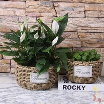 Exquisite bamboo small flower basket straw woven rattan flower pot Wicker flower basket hand Wall woven portable Green