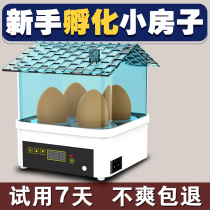Water bed incubator oviation machine egg machine floating Fu duck goose pigeon egg preparation box turtle egg bird chicken fry