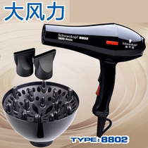 Hair dryer 8802 high power hair dryer hot and cold