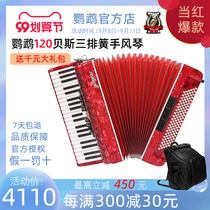 Parrot accordion YW827 grade performance beginner accordion 120 bass three row Reed accordion