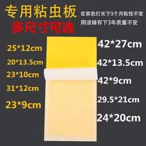 Fly-extinguishing lamp mosquito household sticky fly board moth sticky mosquito mosquito repellent lamp special mosquito killing paper 10 sheets of sticky paper flying insects