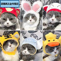 (courtesy price) cat headdress pet decoration 2 ha golden fur lion headgear early funny cute plush dog