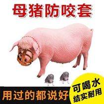 Sow anti-bite cover tool thickened piglet can drink water crate breathable pig pig piglet cub protective cover bold