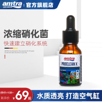 Original imported amtra Ancai concentrated nitrifying bacteria active digestion bacteria liquid fish tank stable water purifier