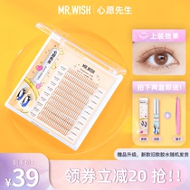 Mr. wish Mr. wish caramel brown A ciliary fairy false eyelash fairy single cluster hair natural simulation