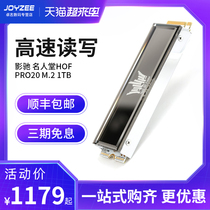 Shadow Famous Hall of Fame HOF PRO M 2 PCIe 4 0 2280 1TB Desktop SSD Mirror solid State drive