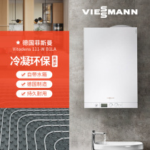 German Fisman Original Imported Condensing Gas Wall-mounted Furnace B1LA-26KW Built-in 46L Heat Storage Tank