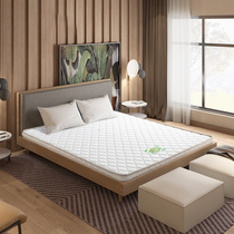 Symbol Ears Treasure South China Sea Coconut Song 5C Series Light Thin section High hard brown cushion knitted fabric tatami mattress