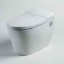 bravat Braun toilet TC21182W-3-4