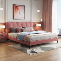 Femas Nordic modern simple cloth bed with soft bedroom fresh luxury double bed net red soft bed