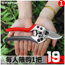 Pruning scissors Fruit tree pruning shears gardening shears imported labor-saving tools flower scissors flower shears
