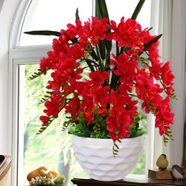 Emulated flower suit butterfly orchid flower fake flower green planting potted room TV cabinet decoration flower indoor swing piece home