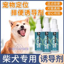 Fixed-point defecation-inducing agent used by a special pet dog for a chaidog special pet dog Toilet God puppies Chaotic Urine Guide Positioning