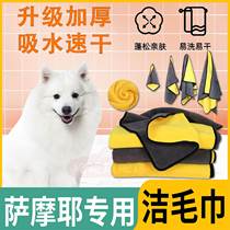 Samoye special beauty towel with special large dog bath super strong absorption and thick towel drying and absorbing