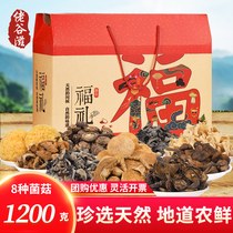 Northeast local specialties Shanzhen mushroom gift gift box Black Fungus Mushroom Hericium Erinaceus fungus dry goods 1200g new goods