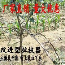Rose pressing branch artifact S-type branch universal pull branch bonsai pull-branch bonsai pull-head Orchard Orchard pear tree branches new branches