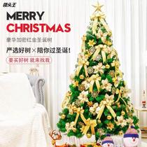 Christmas Tree Luxury Home Package Christmas Decorations Indoor Luminous Crypto Tree 1.5 2.1m Emulation Leader