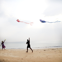 Weifang Kite Beginner New Children Adult Couple Butterfly Kite Large Featured Gift Traditional Butterfly Kite