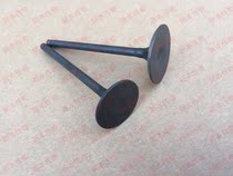 Straddle motorcycle accessories CBF190 valve SDH175-6-7-9-10-11 exhaust valve intake valve