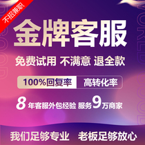 Customer service outsourcing Manual Tmall Taobao Pinduoduo Shake sound quick hand online shop Pre-sale after-sale full-day hosting service