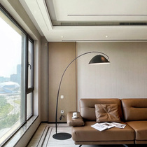 Qiteng Nordic postmodern fishing Simple living room sofa floor lamp Designer model room creative fishing line lamp