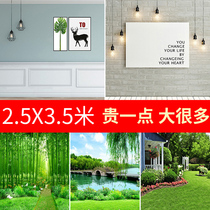 Live background cloth 3D three-dimensional live room background wall net celebrity anchor take pictures hanging cloth room layout decoration rural outdoor landscape flowers and sea side shaking high-level background wallpaper curtain