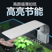 Fish tank light LED light grass cylinder light waterproof small energy-saving lighting light mini clip light aquarium water straw light