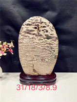 Natural rough stone Swan stone Orchid stone Strange stone Ornamental stone Pottery stone Curly stone Natural stone Modeling stone ornaments