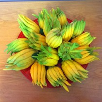 Jinhua bergamot fresh fruit with branch water to raise bergamot Golden bergamot Citron fresh bergamot hydroponic big bergamot fruit