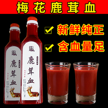 Deer blood fresh deer blood wine plus wine fresh high purity men tonic Jilin province northeast sika deer