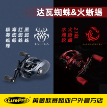 Daliva Spider salamander series water drop wheel DAIWA Red Black Spider elite Spider sea spider Road sub wheel