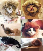 King of the jungle pet turned into a funny cat funny Lion cap hat