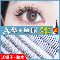 Yu Shuxin Fairy eyelashes mixed fishtail fairy hair a-type false eyelashes for women single cluster grafting natural simulation