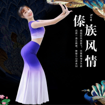 Dai dance costume Adult female peacock dance performance costume National dance performance costume fishtail skirt practice practice skirt