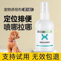 Pet kitty dog-inducing agent bowels on the toilet pee urine pull poop positioning fixed point defecation training liquid guide
