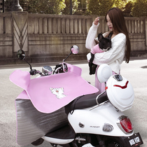 Electric car tricycle wind shield four seasons spring one-piece battery motorcycle double-sided waterproof rainproof autumn and winter thin section