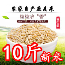 New goods oat rice farmers self-produced Inner Mongolia grain rice 10kg bulk
