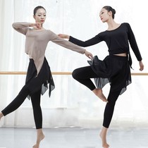 National Day 11 new dance suit female classical modern dance adult modal body practice clothing Latin dance