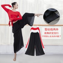 National Day 11 new elegant chiffon modern dance practice uniform Chinese classical dance female dance performance National Dance