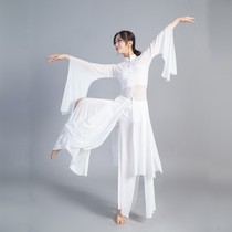 National Day 11 new classical dance practice clothes 2021 new adult female elegant wide sleeve gauze suit Chinese style