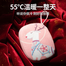 Electric warm baby two-in-one electric treasure mini cute girl explosion-proof hot water bag warm hand treasure small portable charging type