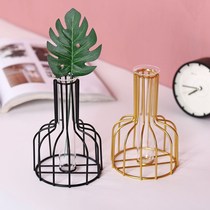 Nordic ins wrought iron Golden hydroponic Vase ornaments living room table tabletop decoration dried flowers flower flowers green water culture
